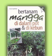 Bertanam Mangga di dalam pot dan di kebun